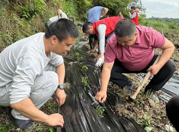 牛牯坪乡：推进耕地恢复 守好耕地红线