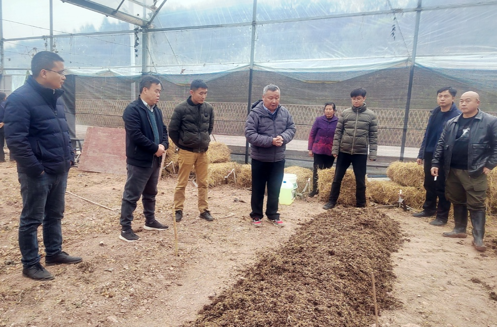 芷江：“四个链条”激发“人才引擎” 赋能高质量发展