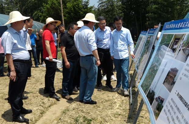 省、市水利专家来芷查勘㵲水大型灌区工程