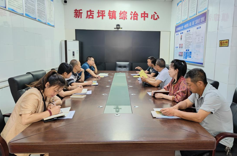 强化监督 新店坪镇人大代表对集镇污水管网改造项目进行专题视察