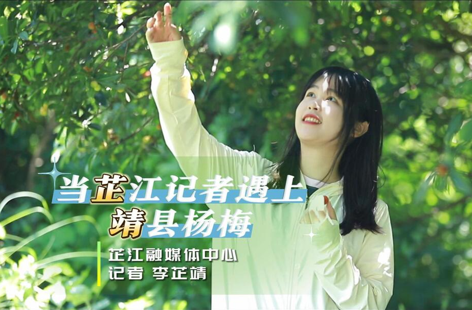 视频|当芷江记者遇上靖州杨梅