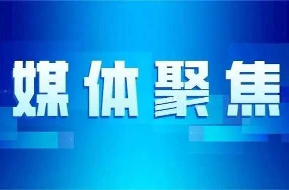 媒体聚焦 | 世界卫生大会中国代表团：中国致力于同世卫组织和各国加强卫生健康领域交流合作