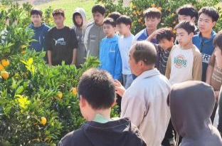 禾梨坳乡：推行劳技教育  提高学生劳动能力