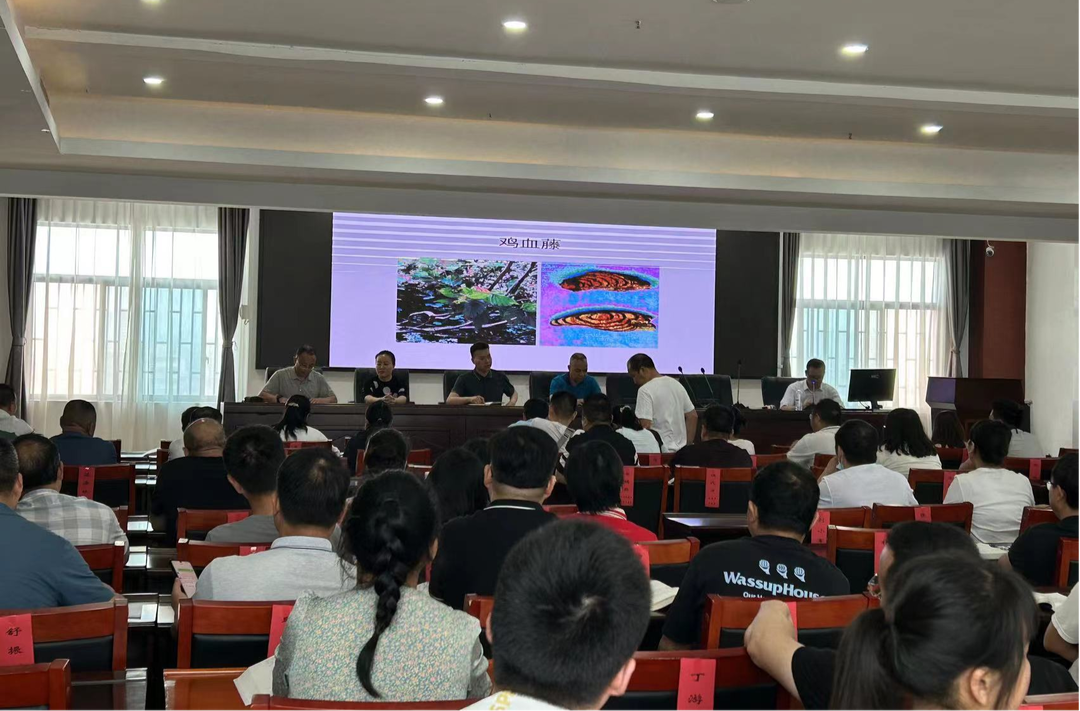 芷江卫健局狠推西学中培训 促进中医药事业高质量发展