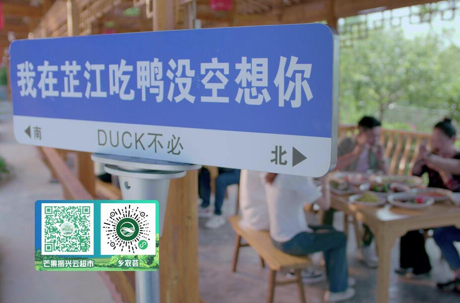 家乡好物——芷江鸭