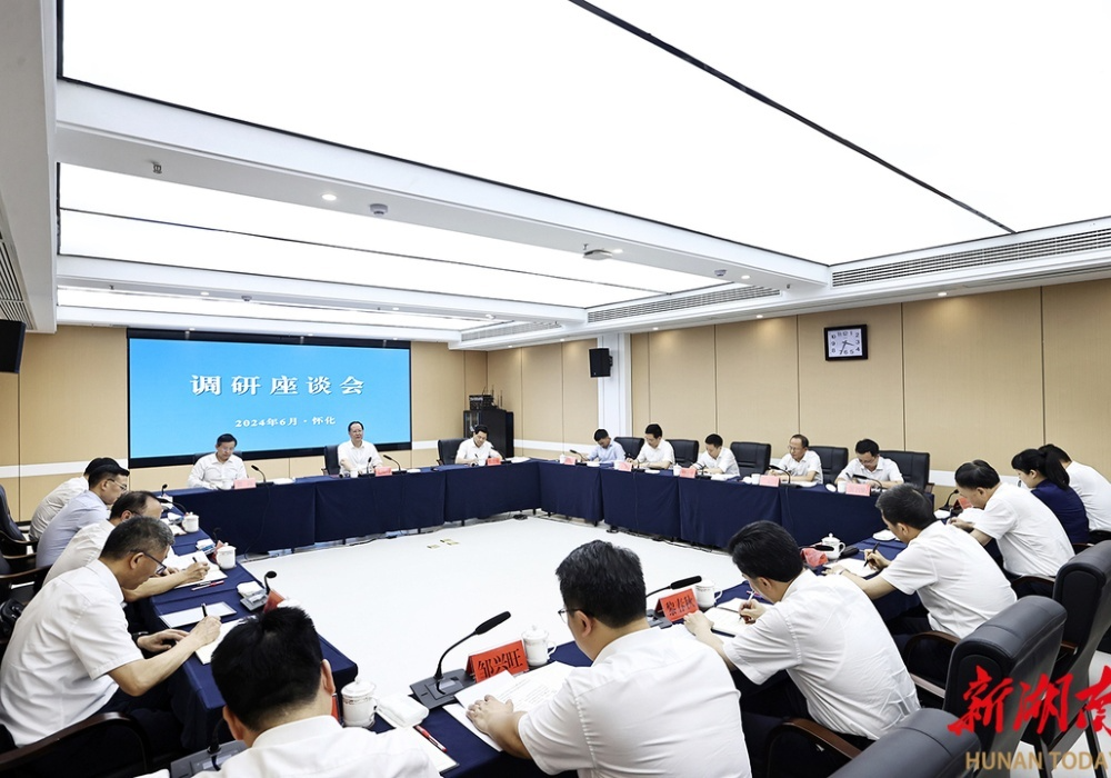 毛伟明在怀化调研并检查全球湘商大会筹备情况