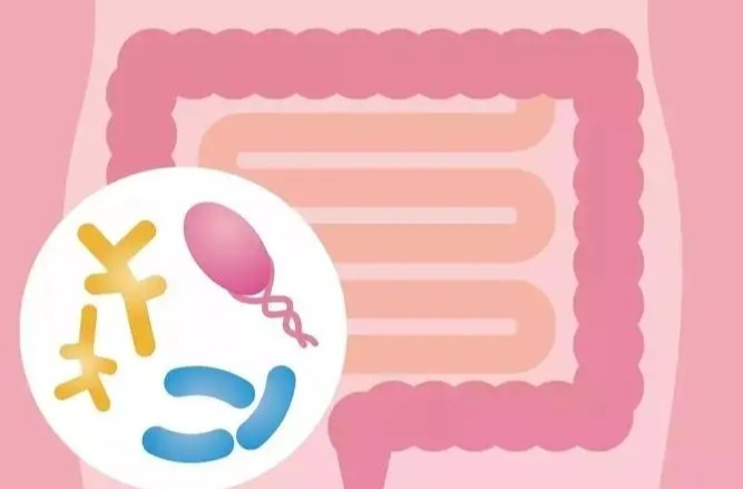夏季高温，怎样预防食源性疾病？如何预防肠道传染病……权威解答来啦！