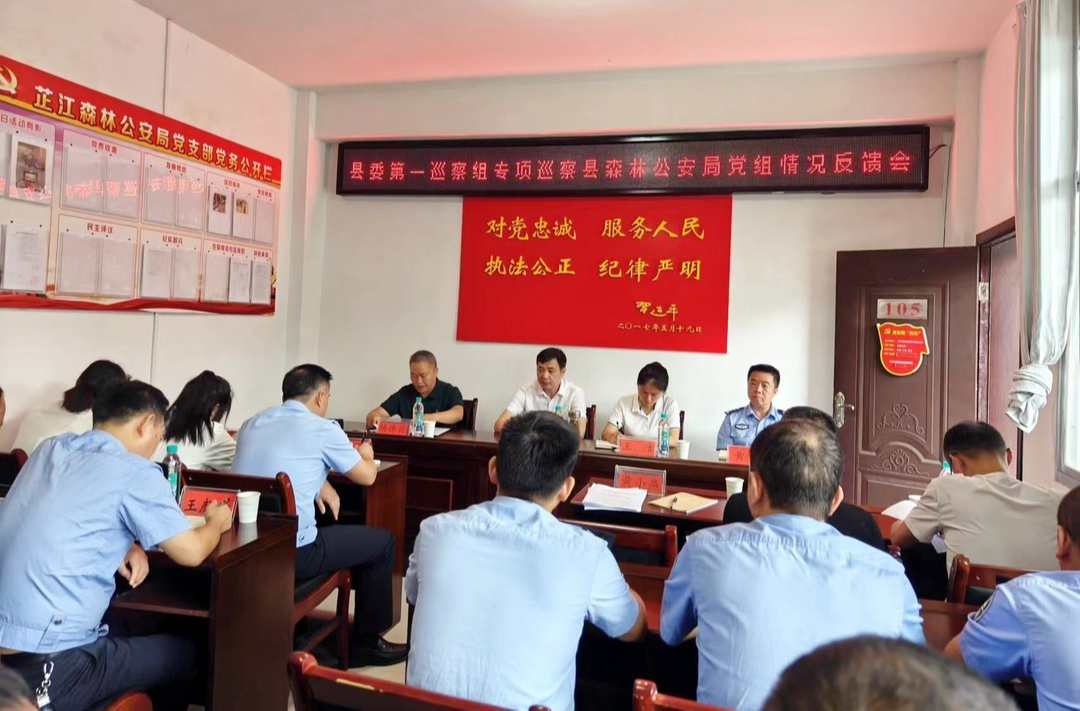 县委第一巡察组专项巡察县森林公安局党组反馈会召开