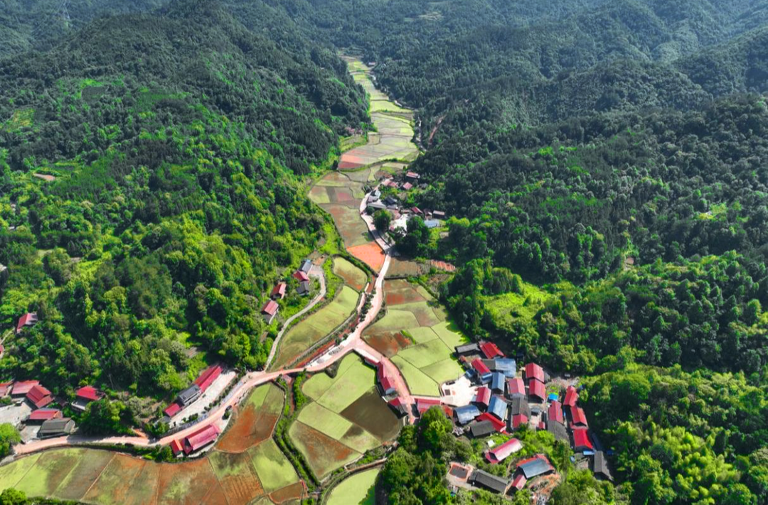 通溪村，我的“阿勒泰”