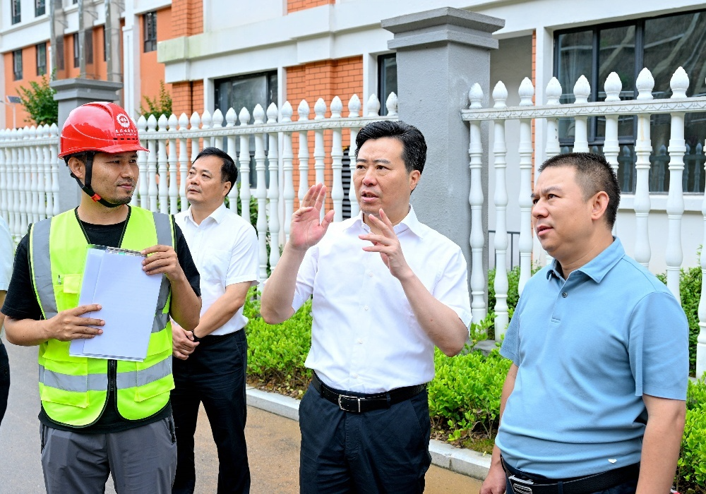 黎春秋在怀化国际陆港经开区督导地质灾害防治工作