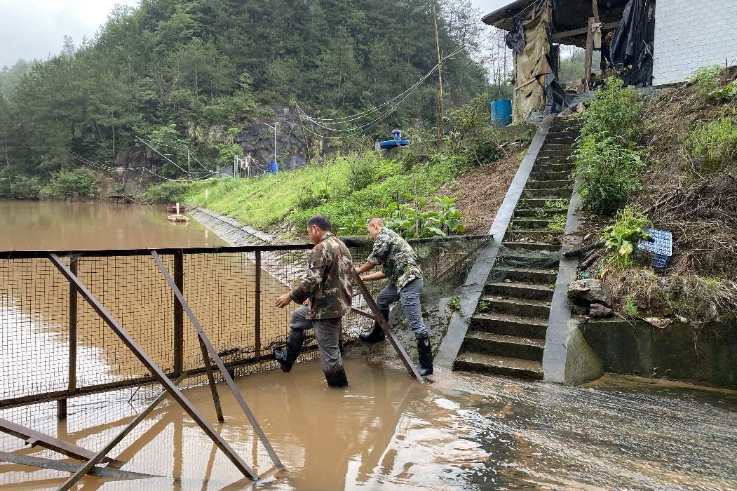 罗卜田乡：清理水库溢洪道树枝 筑牢防汛安全堤坝