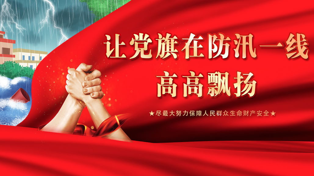 让党旗在防汛一线高高飘扬
