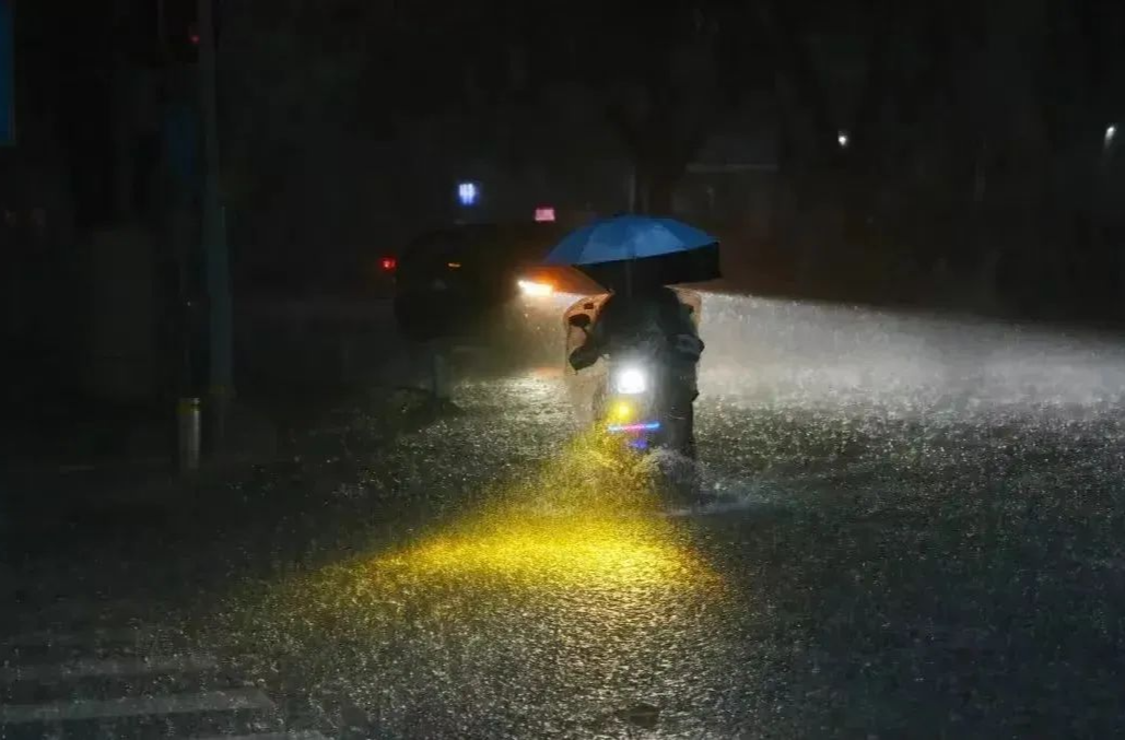 湖南疾控温馨提示：暴雨洪涝灾害后请注意虫媒及自然疫源性疾病