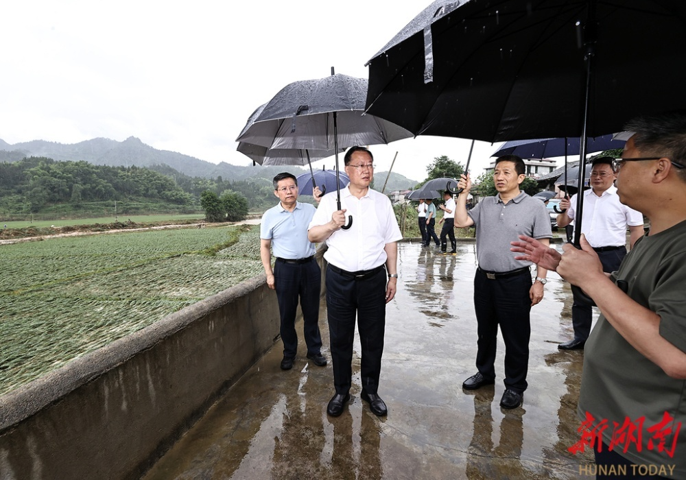 毛伟明在辰溪县指导检查防汛抗灾工作
