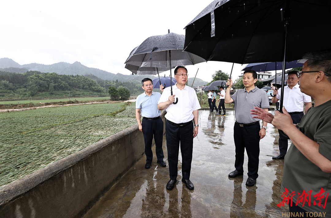 毛伟明在辰溪县指导检查防汛抗灾工作