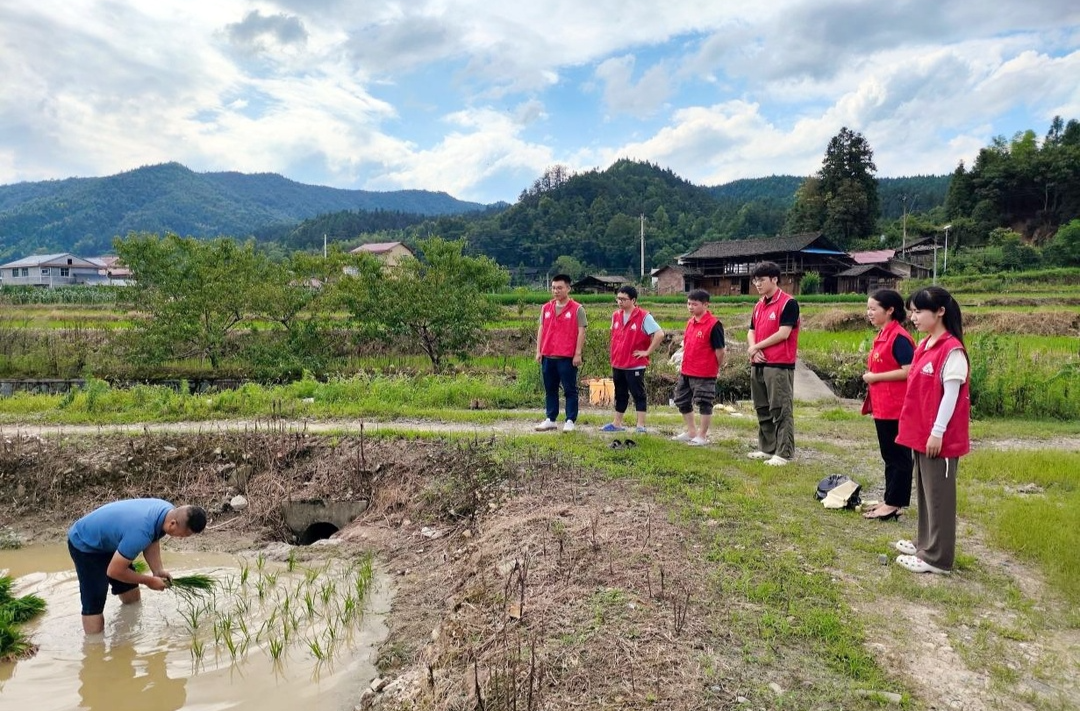 土桥镇：灾后农田重建第一线，“志愿红”助力“复耕绿”