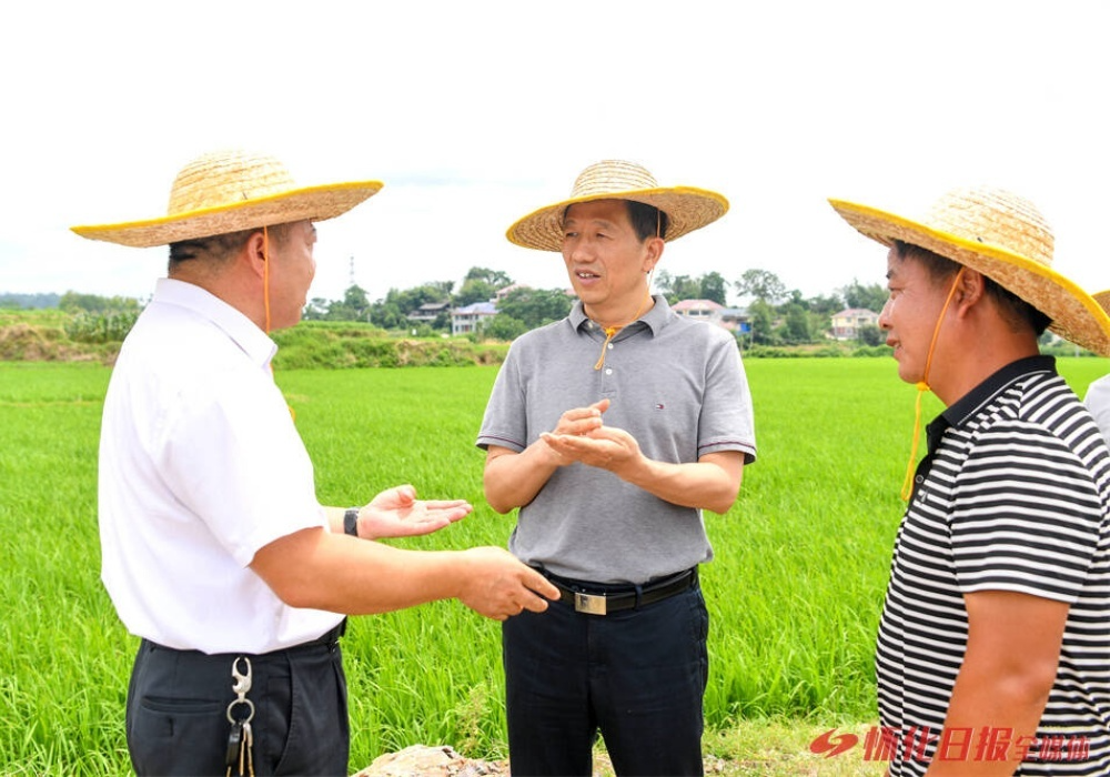许忠建在芷江调研
