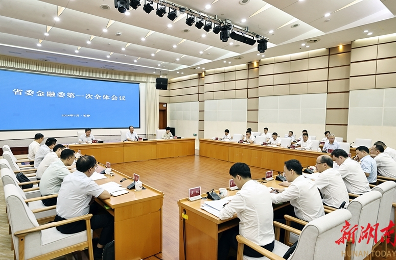 新成立的省委金融委召开第一次全会 毛伟明讲话