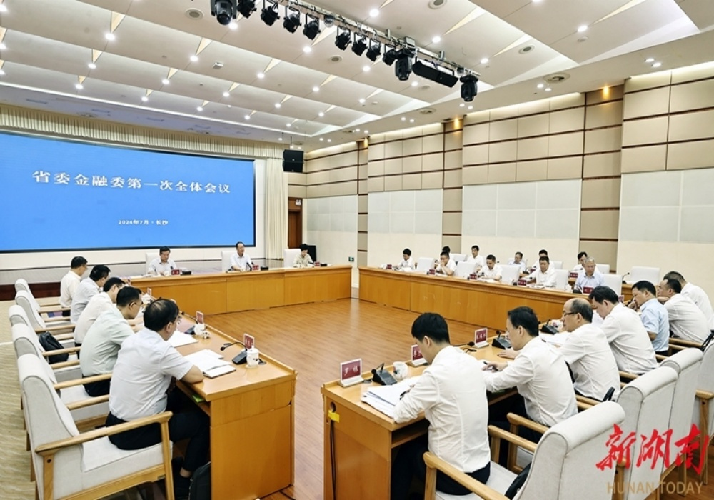 新成立的省委金融委召开第一次全会 毛伟明讲话