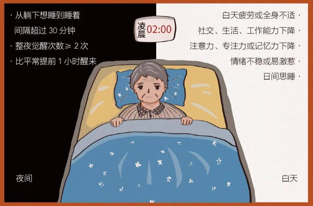 失眠惹了什么“祸”？| 科普时间