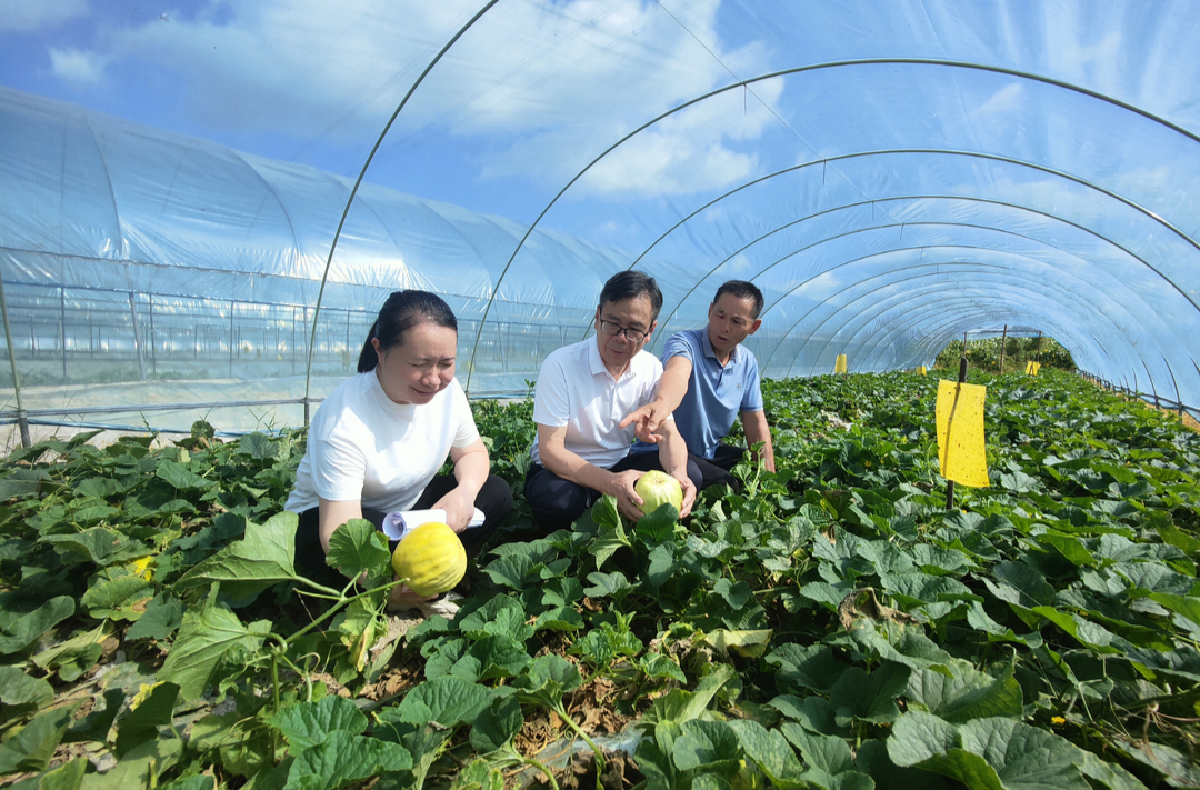 芷江关工委开展“三扶两创”工作调研