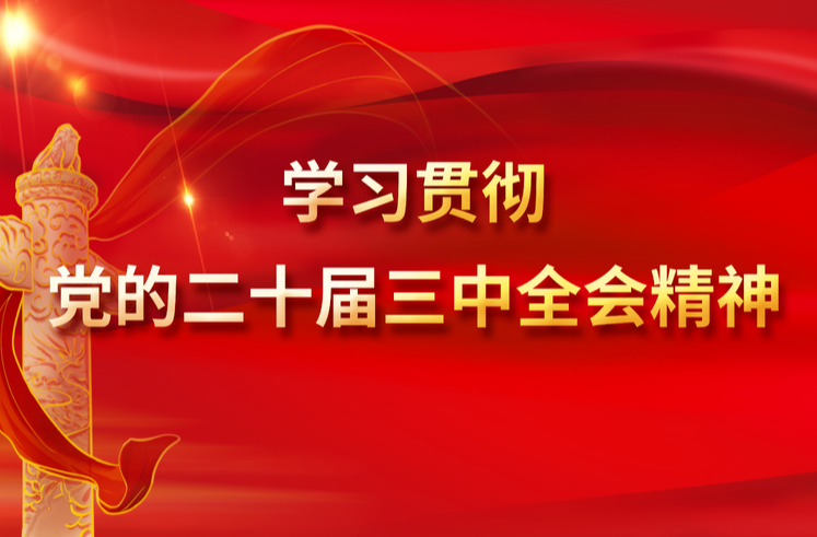学习贯彻党的二十届三中全会精神