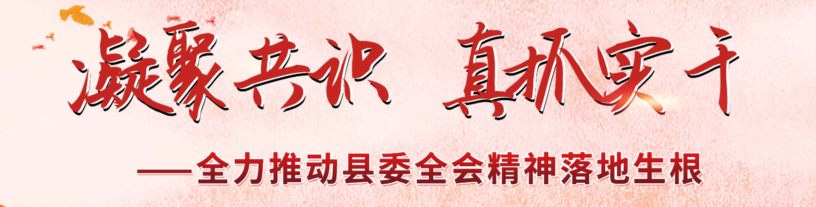 凝聚共识，真抓实干——全力推动县委全会精神落地生根