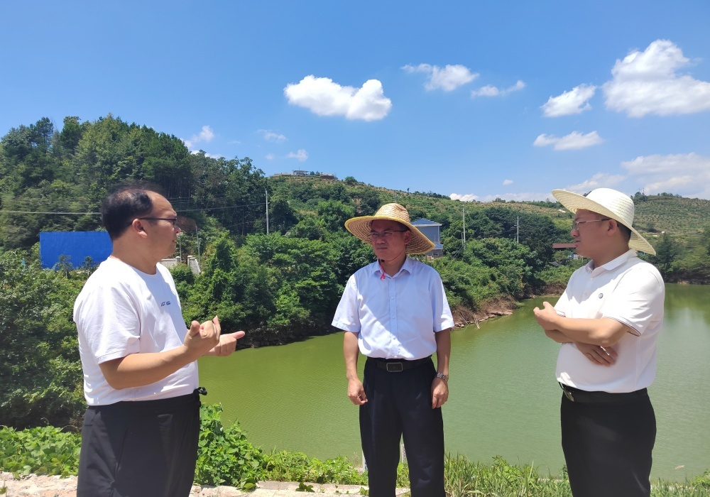梁元和在岩桥镇调研