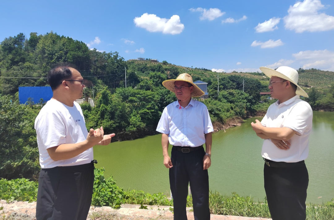 梁元和在岩桥镇调研