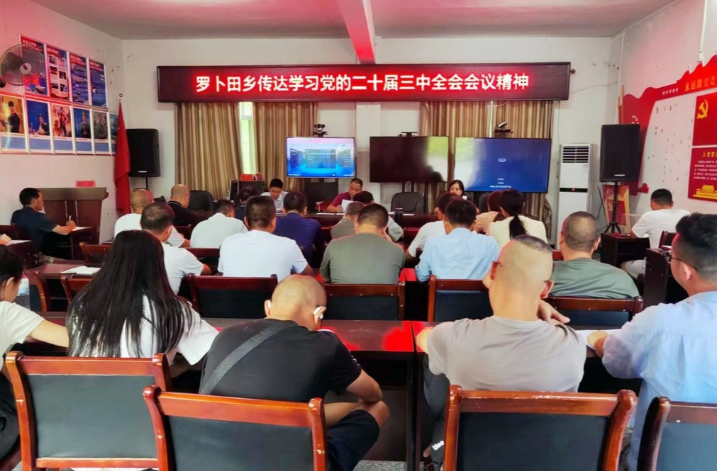 罗卜田乡：学习宣传党的二十届三中全会精神