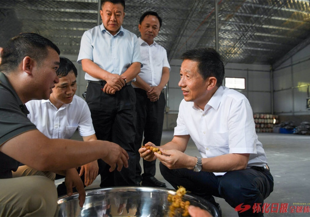 许忠建：拓宽农民增收致富渠道