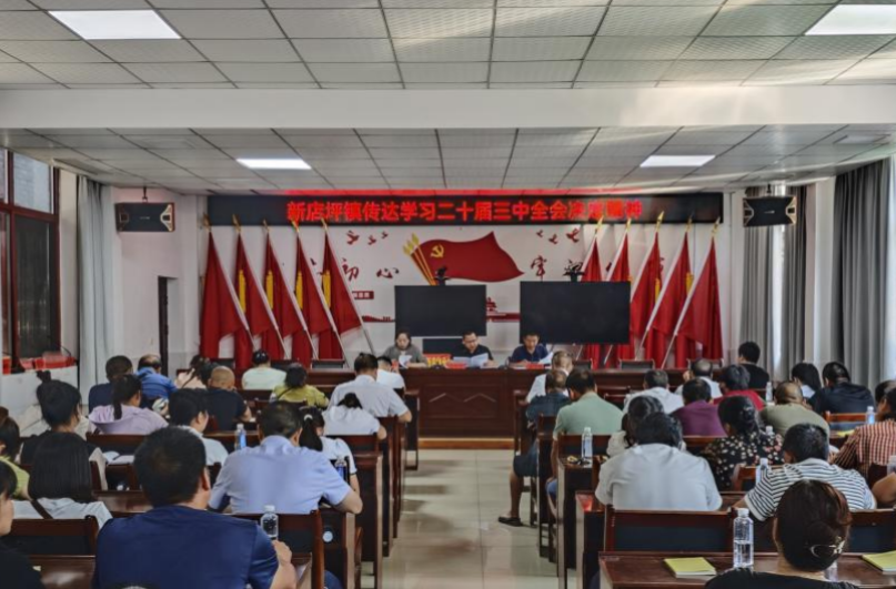 新店坪镇学习贯彻党的二十届三中全会精神