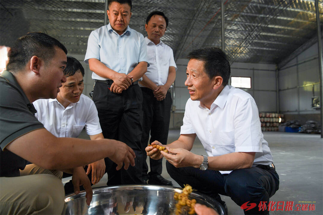 许忠建在通道调研时强调：大力发展乡村特色产业 拓宽农民增收致富渠道