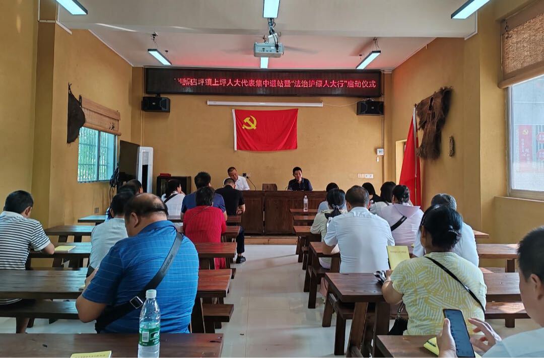 新店坪镇举行人大代表进站暨“法治护绿人大行”启动仪式