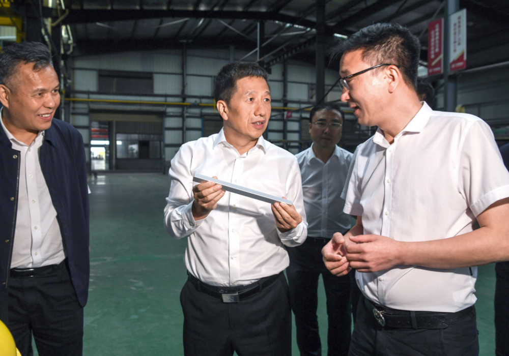 怀化市委书记许忠建：坚定不移推动高水平开放高质量发展
