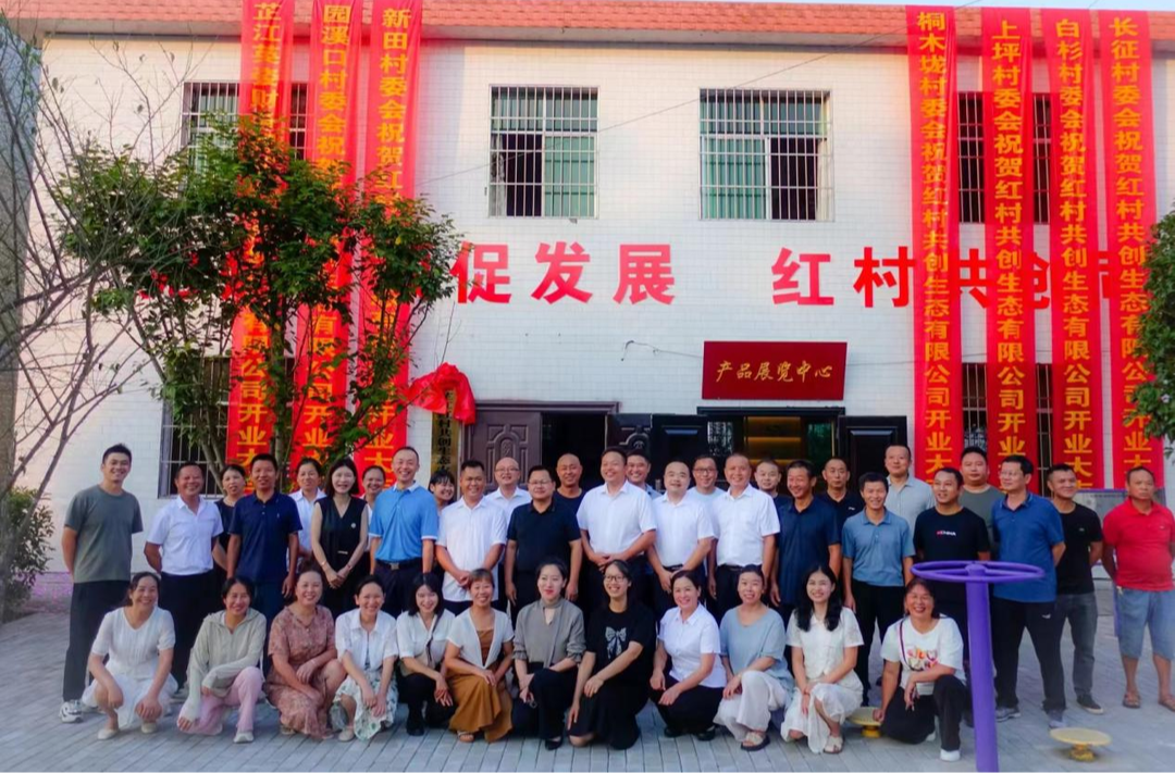 新店坪镇：“红村共创”赋能乡村振兴