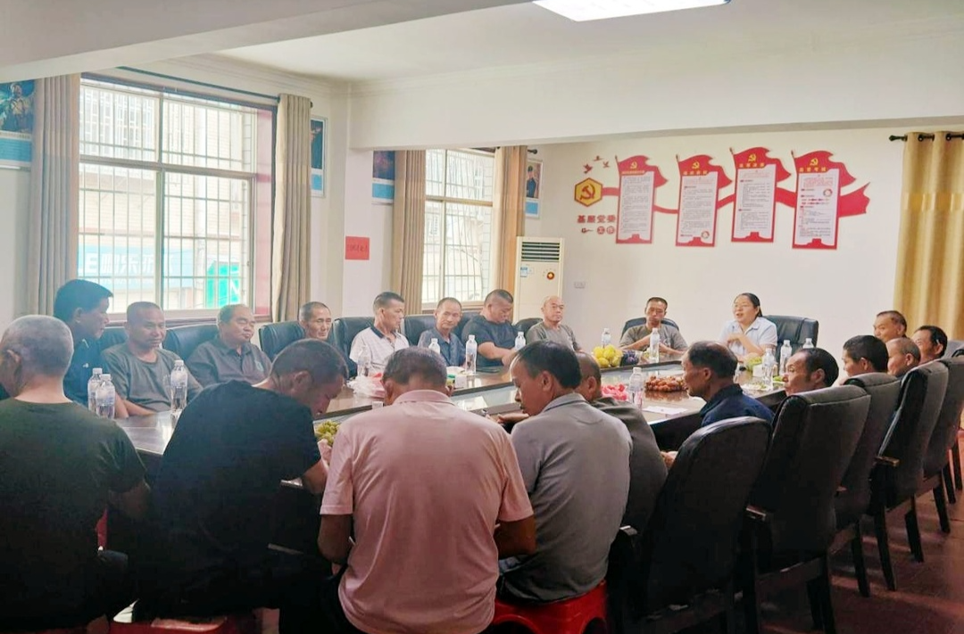 岩桥镇组织召开“八一”建军节座谈会