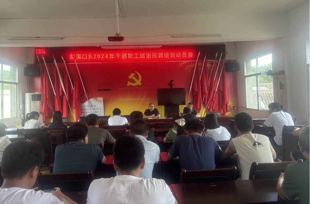 梨溪口乡开展2024年综治民调宣传活动