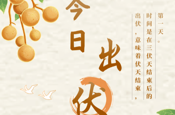 今日告别“三伏天”！养生要提上日程，未来的日子别将就着过~ | 时令节气与健康