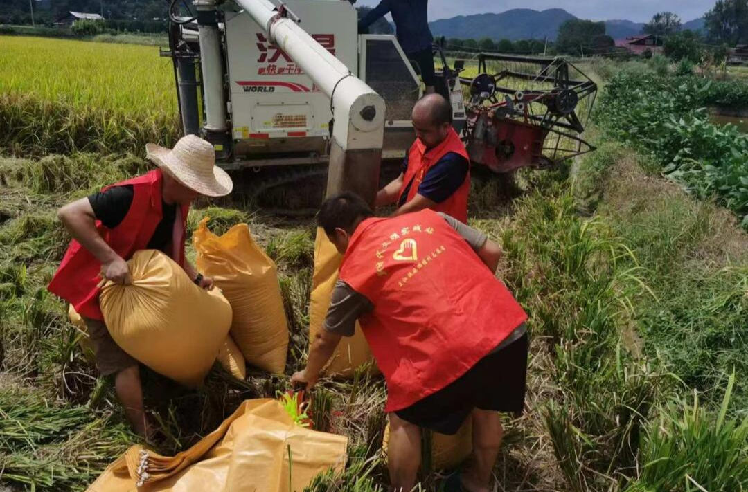 芷江镇：田间地头党旗红