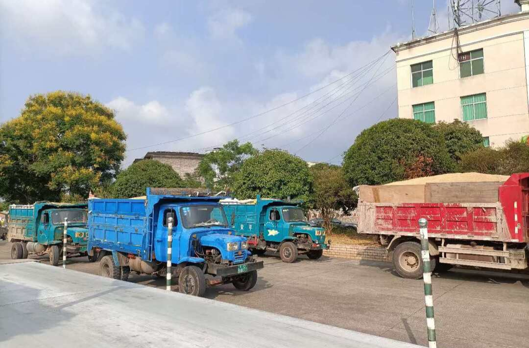 芷江：稻谷收购忙  粒粒皆归仓