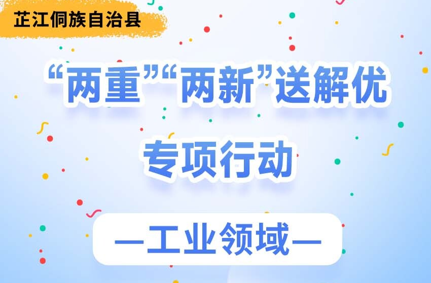 长图｜芷江侗族自治县“两重”“两新”送解优专项行动（工业领域）