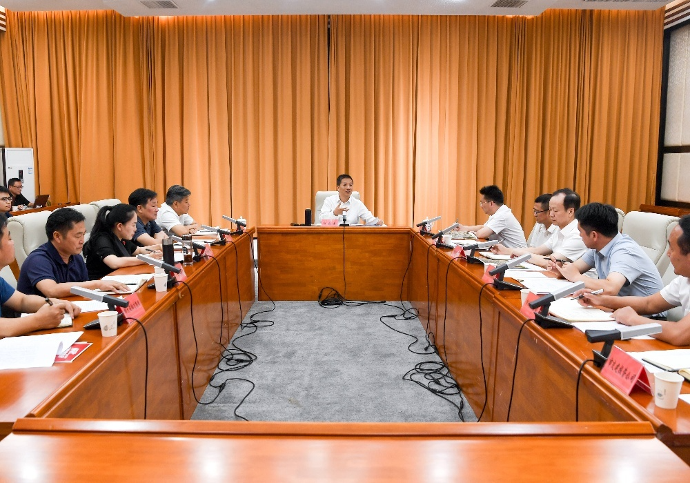 许忠建专题调研主城区重点旅游项目规划建设