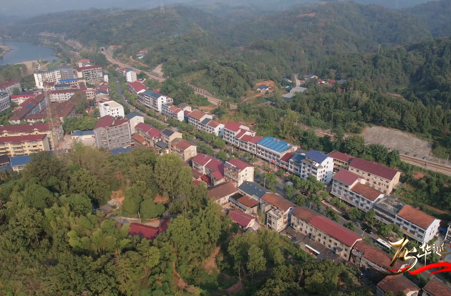 深化改革再出发丨公坪镇公坪社区：将生态优势转化为发展优势 打造山水旅游胜地
