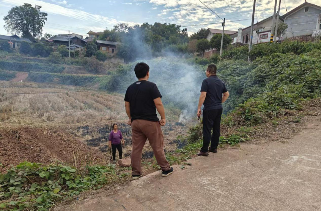 岩桥镇：守护绿色家园 共筑生态防线