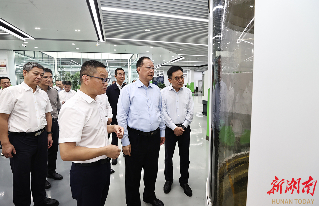 毛伟明在邵阳调研“八大行动”及“两重”“两新”工作