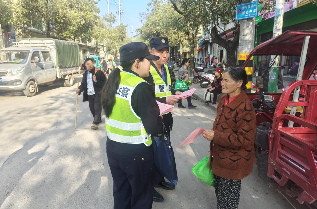 楠木坪镇：深化政务公开，服务群众零距离
