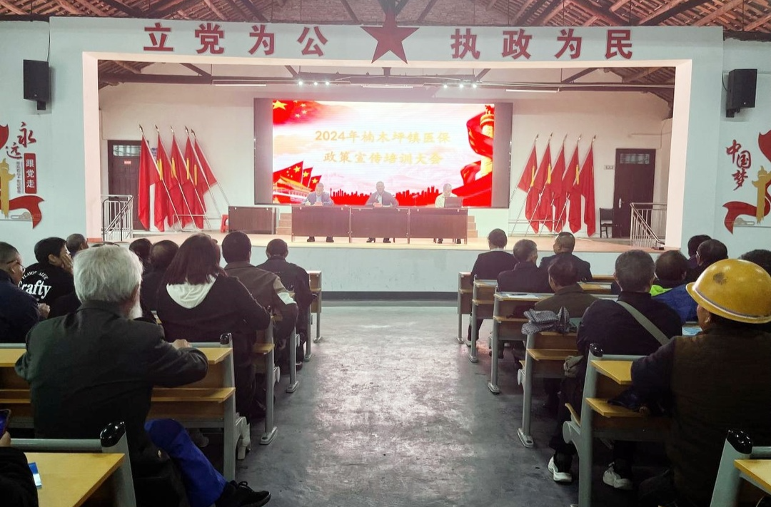 楠木坪镇：医保培训入人心，惠民服务零距离