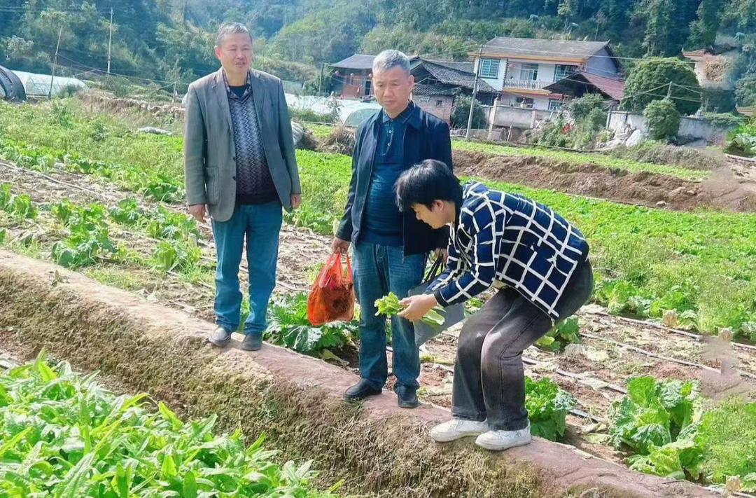 楠木坪镇：做好农产品质量检测 守护群众“菜篮子”