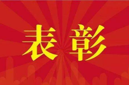 速看！湖南省委决定表彰这些优秀党员和先进基层党组织